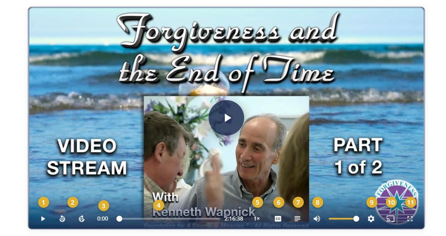 The video player control bar with numbers 1 to 11 above the controls. The numbers match the table below.